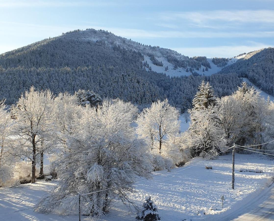 Apartament Sci Jsm Gresse-en-Vercors Zewnętrze zdjęcie